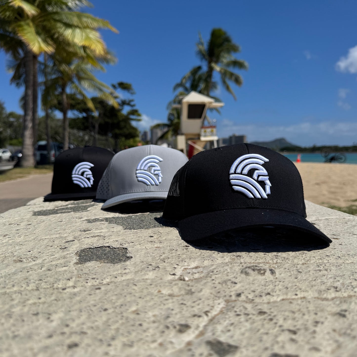 Warrior 3D Snapback hats the Light Gray Waterman
