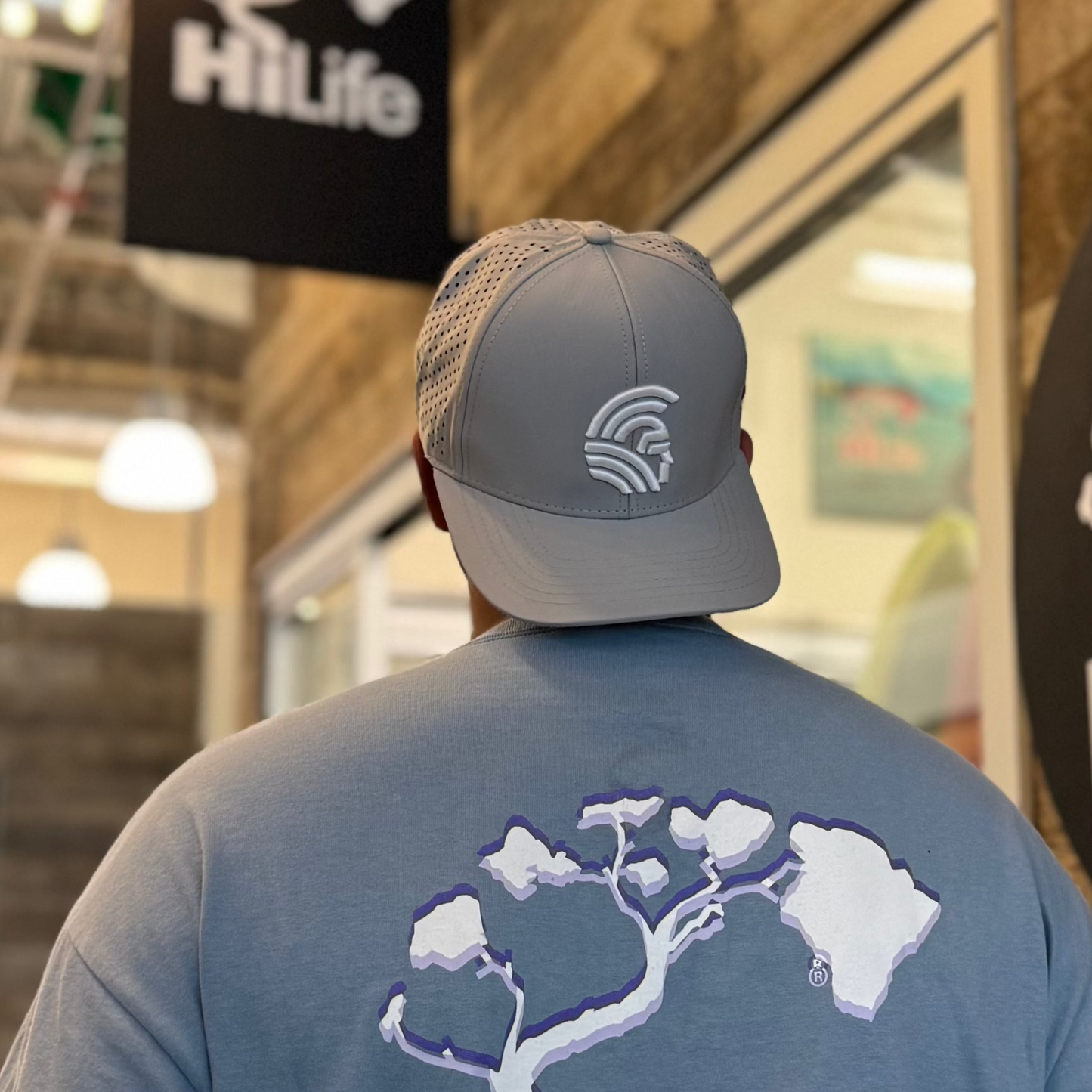Warrior 3D Snapback hats the Light Gray Waterman