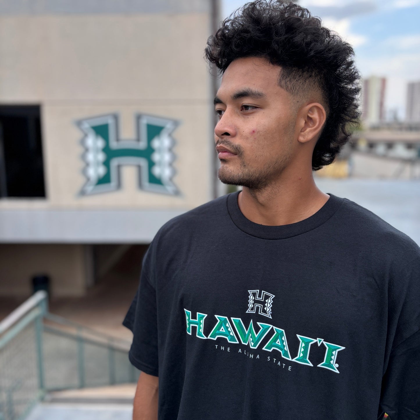 HI3D (HiLife x UH)
