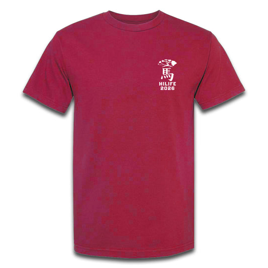 year of the fire horse