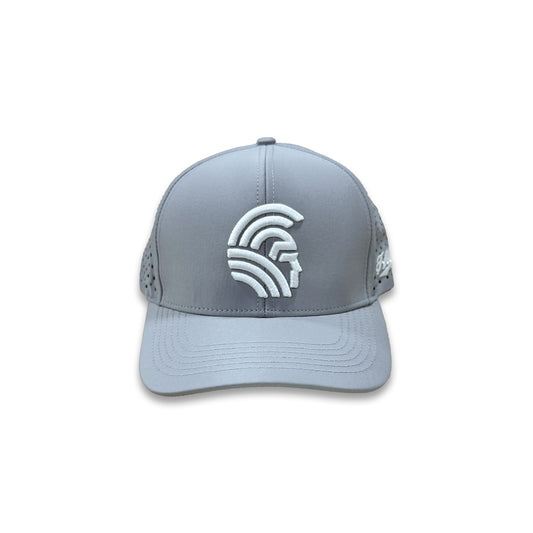 Warrior 3D Snapback hats the Light Gray Waterman