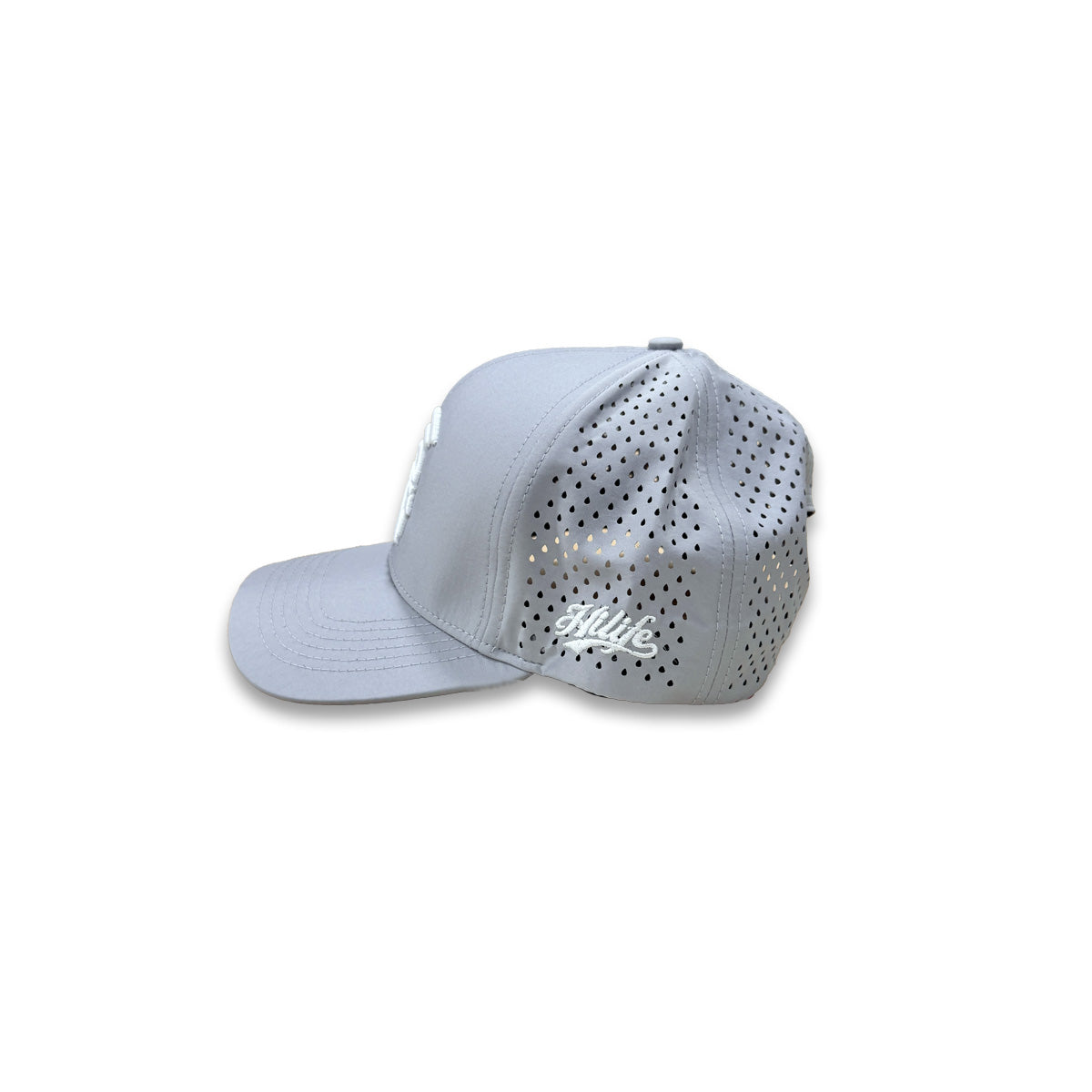 Warrior 3D Snapback hats the Light Gray Waterman