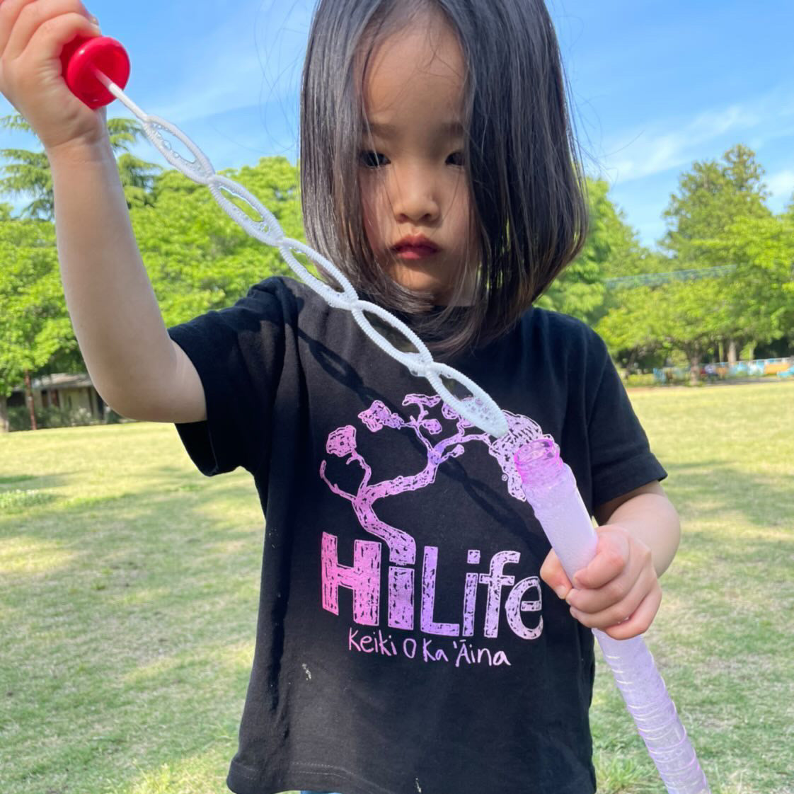 コレクション – HiLife Store
