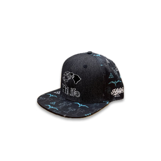 BASIC LOGO Snapback hats 2 Tone Black Denim Thunder Iwa