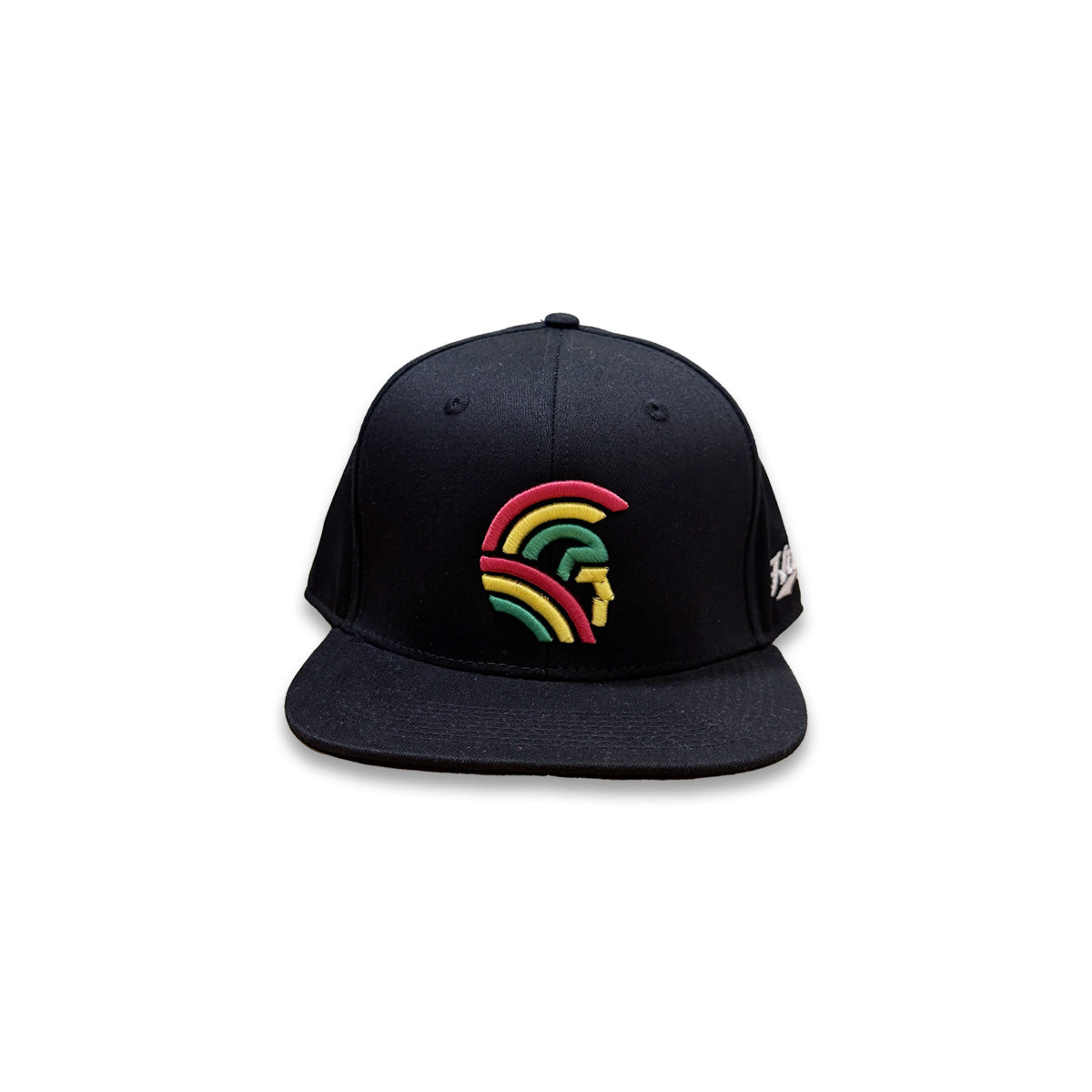 Warrior Tri-color 3D Snapback hats Black