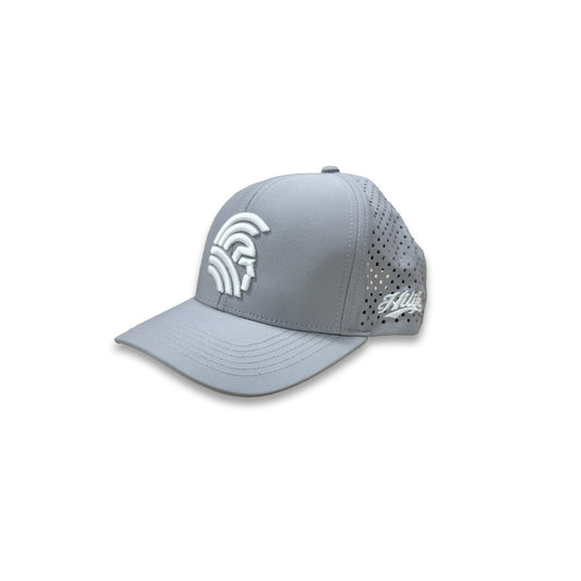 Warrior 3D Snapback hats the Light Gray Waterman